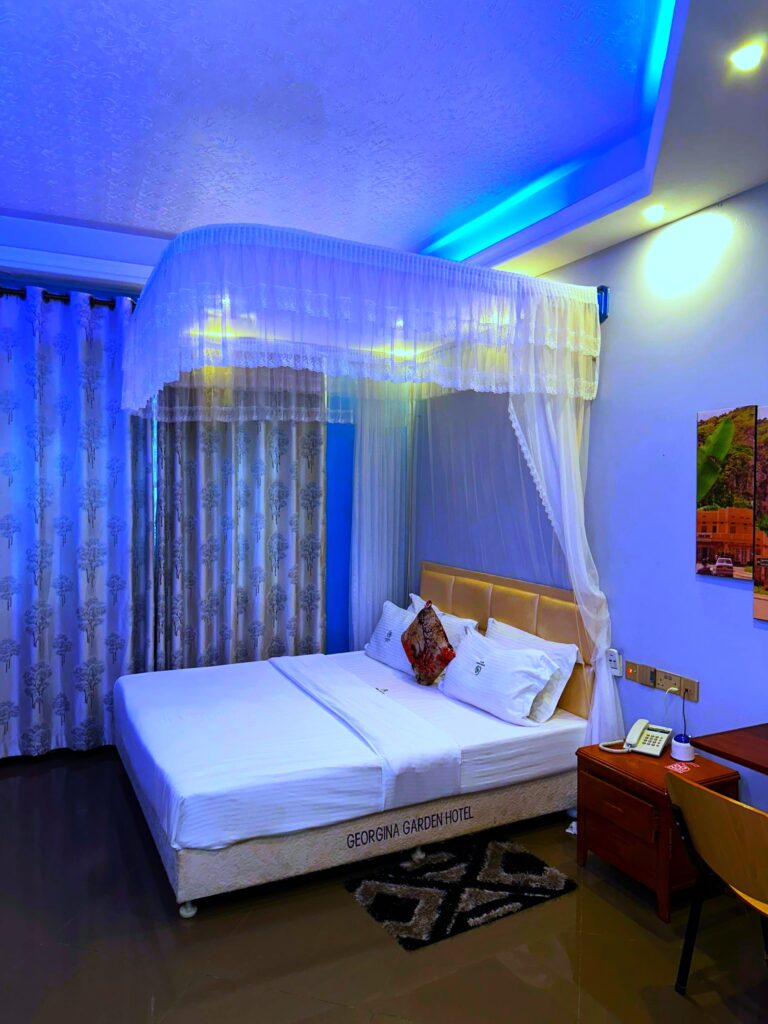 georgina standard room (1)